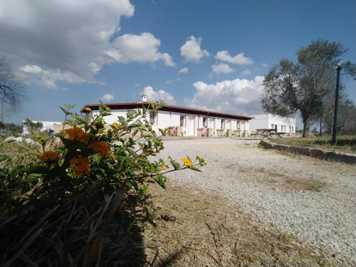 Agriturismo "Terra D'Ulivi" Villa Porto Cesareo Kültér fotó