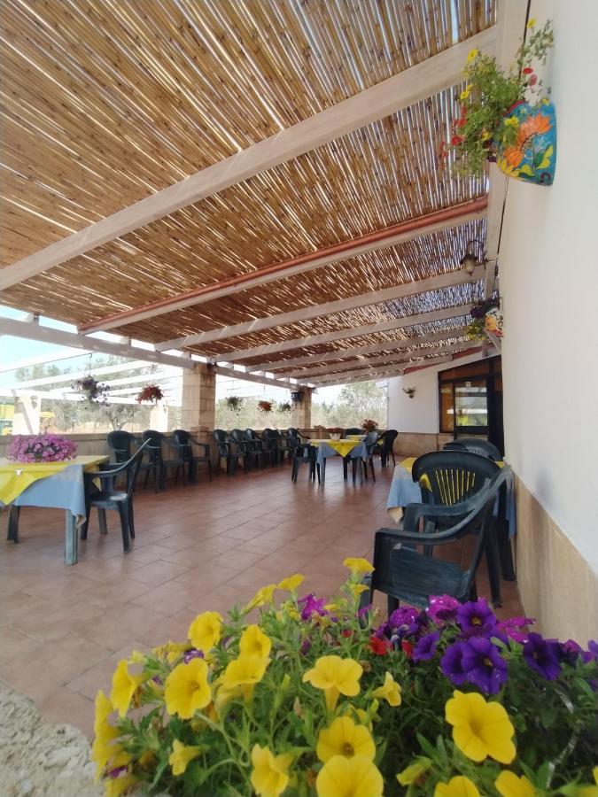 Agriturismo "Terra D'Ulivi" Villa Porto Cesareo Kültér fotó