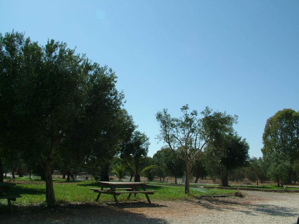 Agriturismo "Terra D'Ulivi" Villa Porto Cesareo Szoba fotó